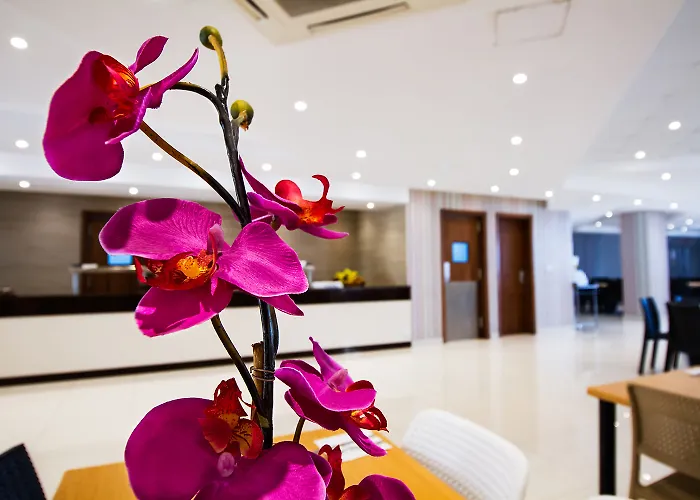 Apartahotel Blubay By St 3*